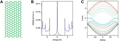 Certain Aspects of Quantum Transport in Zigzag Graphene Nanoribbons
